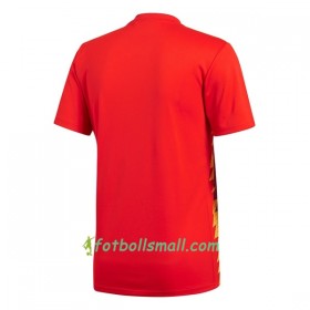 Spanien Fotbollströjor Hemma tröja 2018